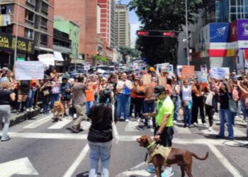 Movilización en Caracas exige reforma penal urgente contra el maltrato animal en Venezuela
