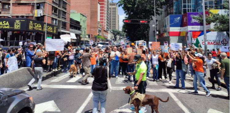 Movilización en Caracas exige reforma penal urgente contra el maltrato animal en Venezuela