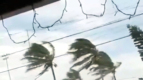 Fuerte viento y granizo combinados azotan un estacionamiento en una escena que parece sacada de películas de terror