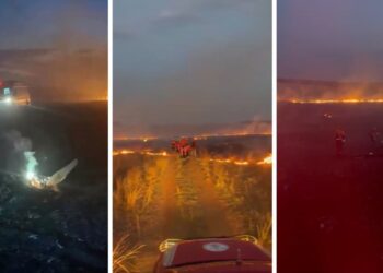 Instructor y alumno mueren al estrellarse una avioneta minutos después del despegue (VIDEO)