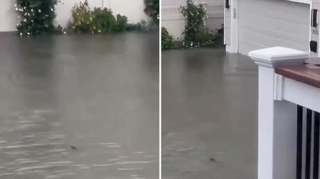 ¿Tiburones en las calles? El inusual fenómeno que sorprende a Nueva Jersey tras las inundaciones de un fuerte temporal