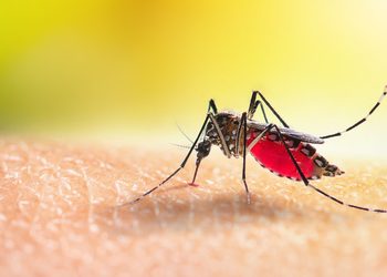 Un estado de EE.UU. declara emergencia por un brote viral «extremadamente inusual»