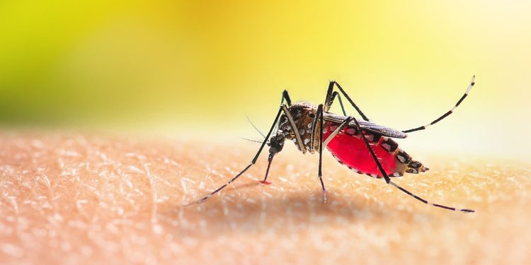 Un estado de EE.UU. declara emergencia por un brote viral «extremadamente inusual»
