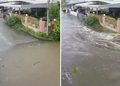 VIDEO: Feroz inundación arrasa un vecindario en cuestión de segundos