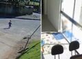 VIDEO: Captan a un bebé que huyó de la guardería para ver a su mamá
