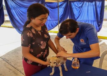 Maracaibo se suma a Castralat en el Día Mundial de los Animales
