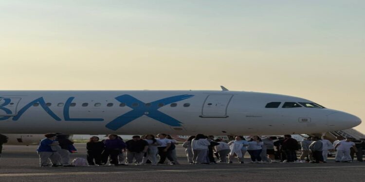 Regresan al país 379 migrantes en dos vuelos de repatriación