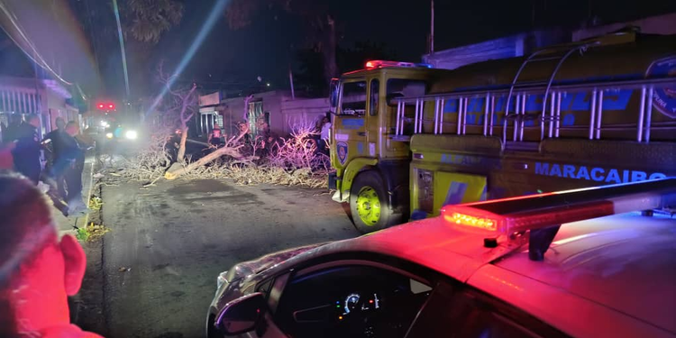 Incidencias menores en cañadas de Maracaibo y dos árboles caídos