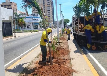 Instituto Municipal del Ambiente despliega operativo de siembra en Bella Vista