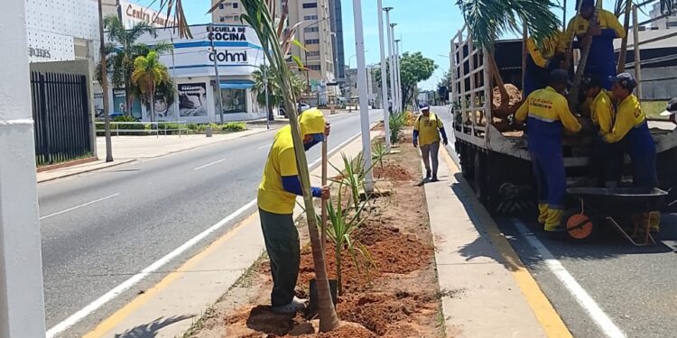 Instituto Municipal del Ambiente despliega operativo de siembra en Bella Vista