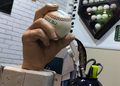 Maracaibo tendrá «un pedacito de Cooperstown» en el renovado estadio Alejandro Borges