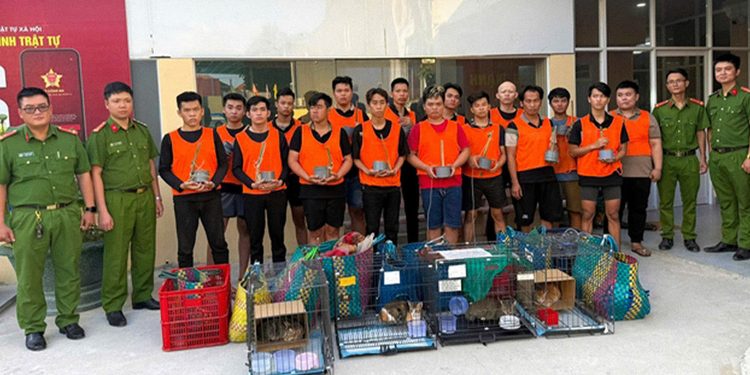 Cae una banda que robó unos 2.700 gatos para venderlos como carne (FOTOS)