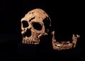 Un misterioso agujero en un esqueleto de hace 70.000 años apunta a un crimen prehistórico