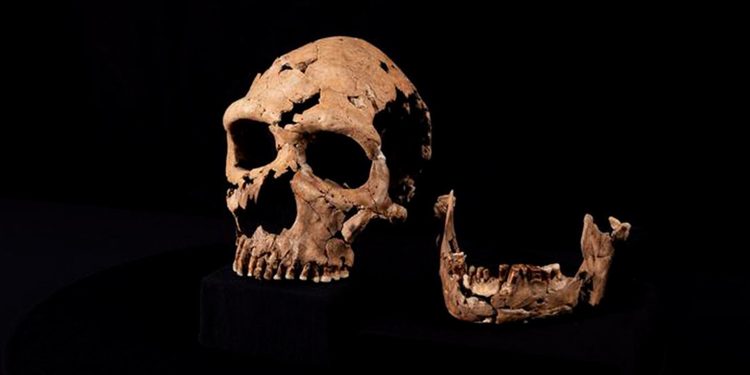 Un misterioso agujero en un esqueleto de hace 70.000 años apunta a un crimen prehistórico