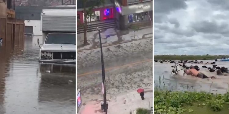 VIDEOS: El duro impacto que deja el ‘Súper Niño’ en Latinoamérica