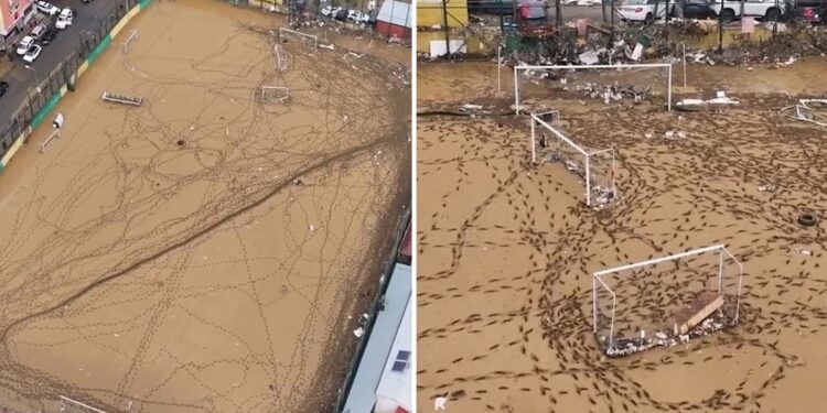 VIDEO: Campo de fútbol queda sepultado bajo el lodo tras devastadora inundación en Turquía