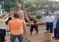 Rescate patrimonial: Regresa al Museo Urdaneta la primera estatua en honor a «El Brillante»