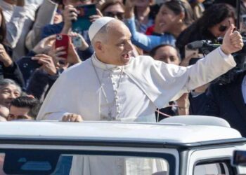El papa retoma las audiencias y se vuelve a subir al papamóvil tras su operación