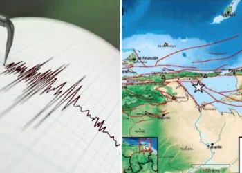 Réplicas en Venezuela: Funvisis reporta miles de temblores en estos dos estados