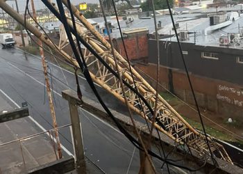 ‎Alcalde Di Martino: Organismos de prevención atienden afectaciones tras fuerte lluvia con vientos huracanados