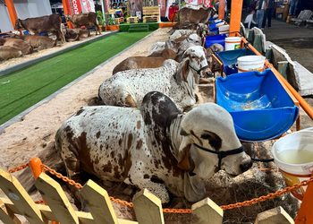 Gobernador Luis Caldera acompaña la inauguraciónde la 49ª Expoferia Comercial y Ganadera en la Villa del Rosario
