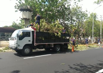 IMA insta a Corpoelec a mesa de trabajo para coordinar planes de poda en Maracaibo