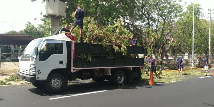IMA insta a Corpoelec a mesa de trabajo para coordinar planes de poda en Maracaibo