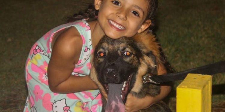 Alcaldía de Maracaibo impondrá sanciones severas contra el maltrato animal